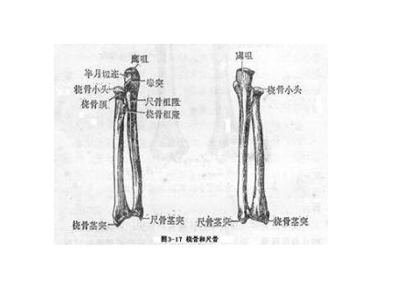 腕关节向尺侧偏斜时桡侧出现剧痛