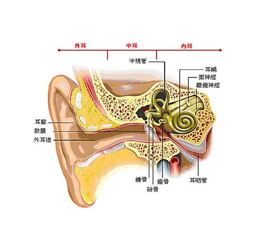 怎么鉴别耳外伤_突袭网