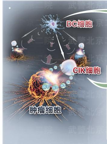 cls生物免疫治疗