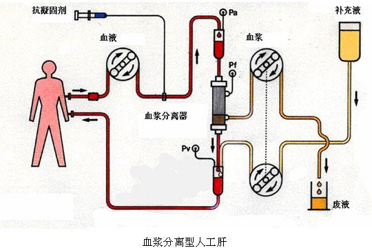 证件要求解析