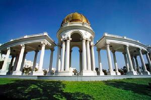 <em>上海科学技术职业学院</em>