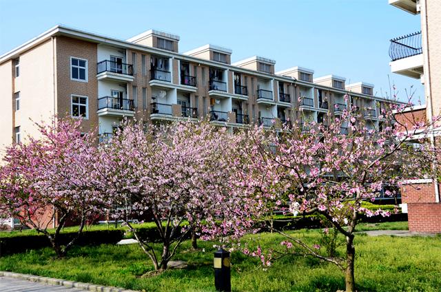 去年上海立达职业学院护理分是多少?浙江理科