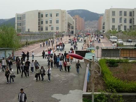 山东杏林科技职业学院