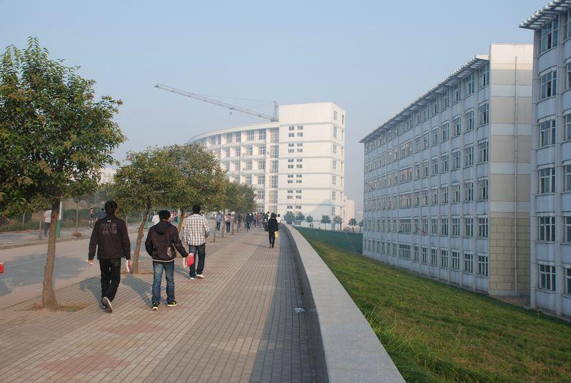 平顶山学院经济学专业实习报告范文模板