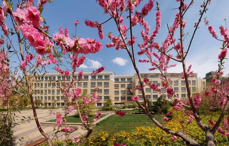 北京电子科技职业学院