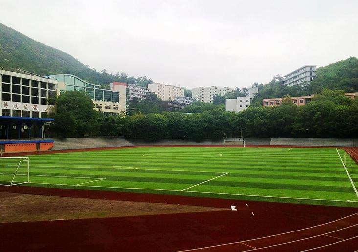 重庆文理学院结缕草草坪主要杂草的调查