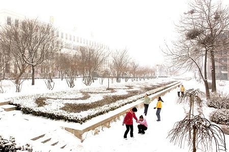 唐山学院雪景图片