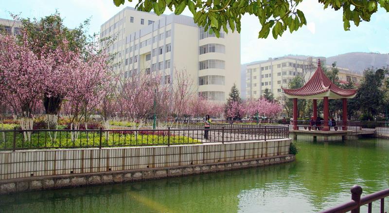 云南科技信息职业学院