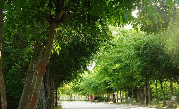 三亚理工职业学院是一专吗?