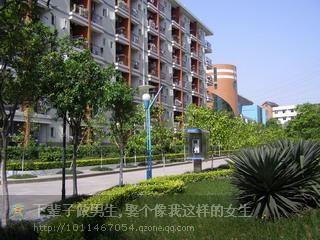 重庆工商职业学院+-+搜搜百科