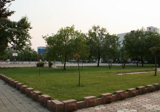 滨州医学院