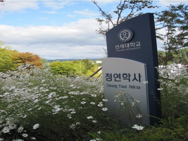 韩国延世大学