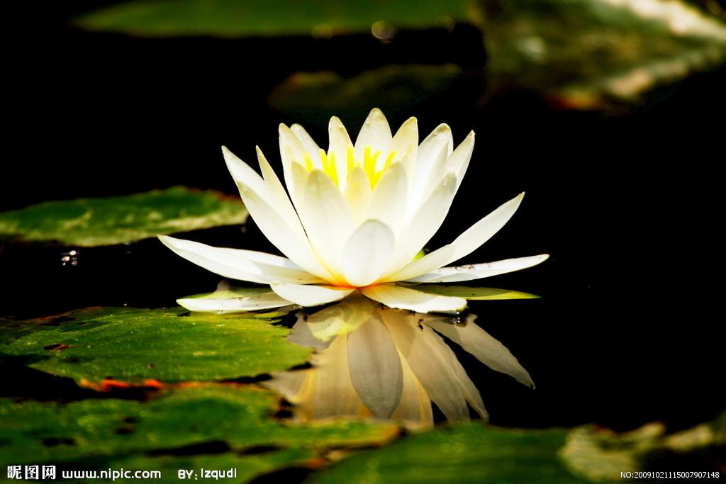 北京芬芳雪颜美容养生会所