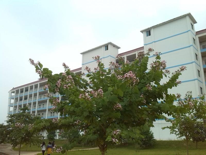 广西演艺职业学院+-+搜狗百科