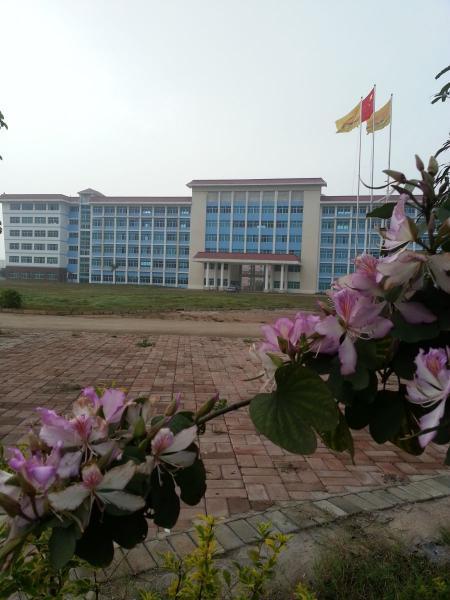 广西演艺职业学院+-+搜狗百科