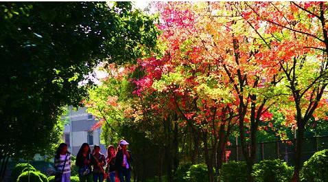 楚雄师范学院