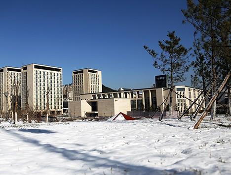 中国大连高级经理学院