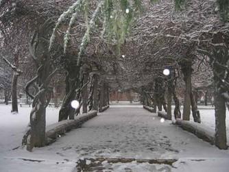 曲阜师范大学杏坛学院