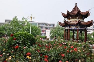 淮阳中学