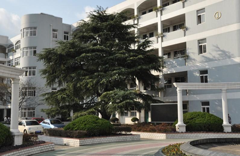 信息中心 上海市洋泾中学和上海市卢湾高级中学哪个好 为了解决