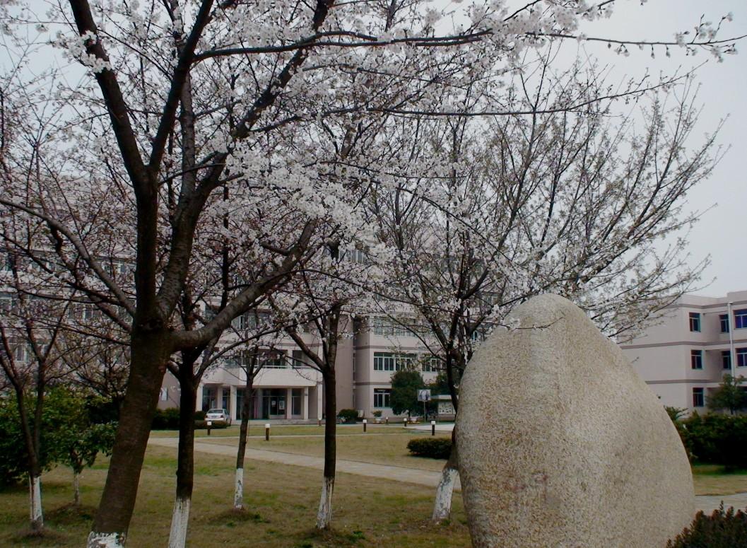 余杭高级中学