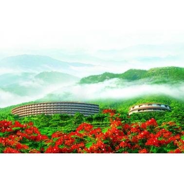 梅州雁南飞茶田景区