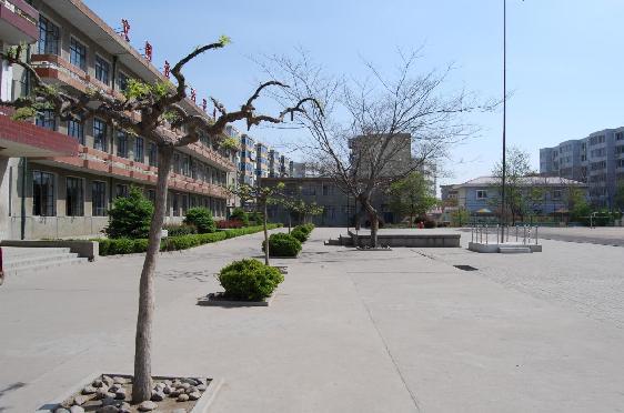 山海关v小学小学照片对对对谁有美术教案蜗牛小学图片