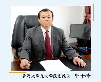 唐于峰:青海大学昆仑学院副院长.