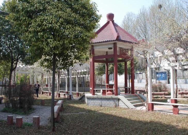 平顶山市第一中学