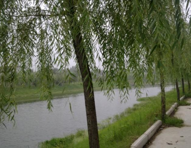 平顶山卫校相关图片展示_平顶山卫校图片下载