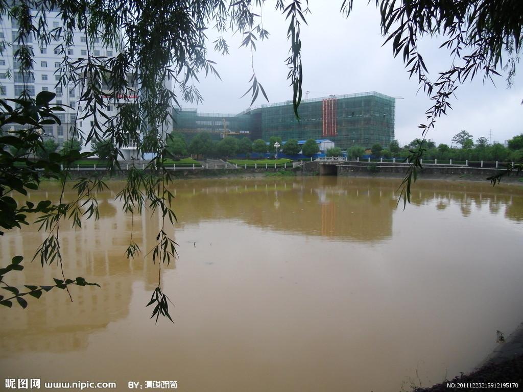 东华大学