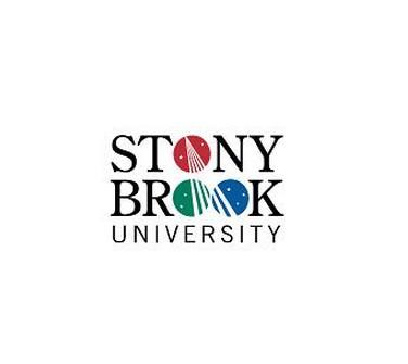 of new york at stony brook,缩写:sunysb或sbu),又称石溪大学(stony