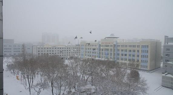 1959年9月,自治区党委将乌鲁木齐市高级中学确定为自治区重点中学.