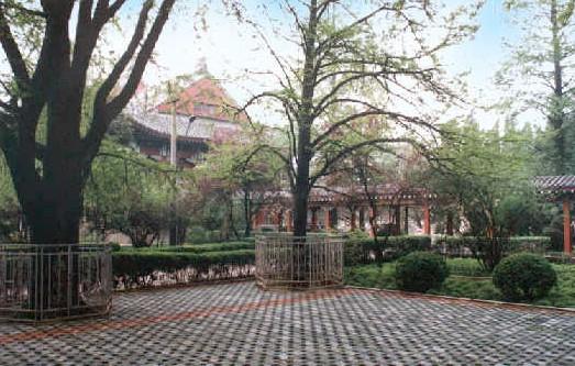 南京师范大学金陵女子学院