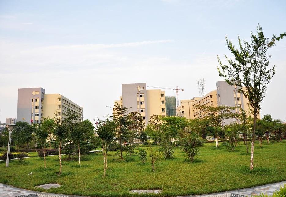 安徽医科大学临床医学院地址_安徽医科大学医管处_安徽医科大学临床医 - 单机游戏 - 倾城娱乐网