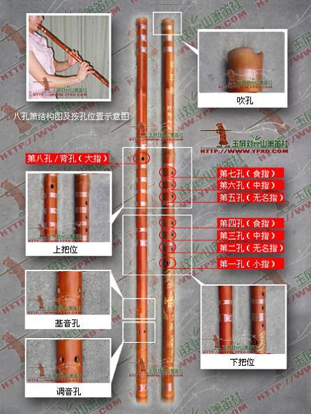 八孔箫曲谱分享_八孔箫曲谱图片下载