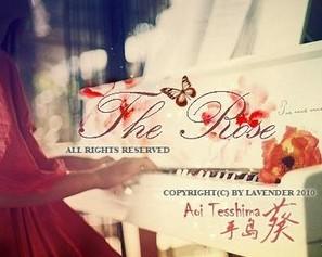 the rose