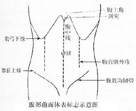 肾区叩击痛