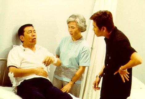 天地豪情(1998年罗嘉良,陈锦鸿主演tvb电视剧)