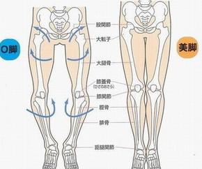 o腿和正常腿的对比