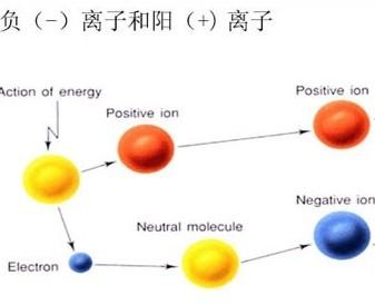 阴离子和阳离子表格_阴离子和阳离子_阴离子阳离子怎么区分