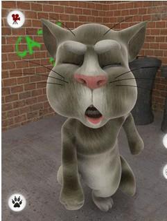 会说话的汤姆猫