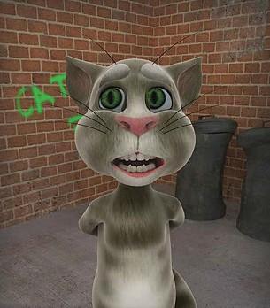 会说话的汤姆猫