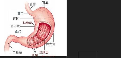 老年人胃癌