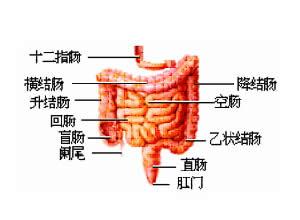 结肠癌 