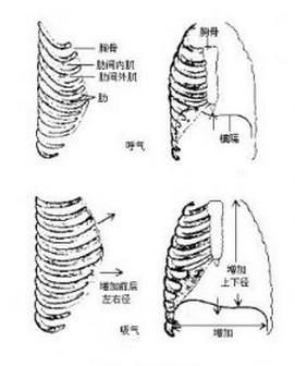 肋软骨炎