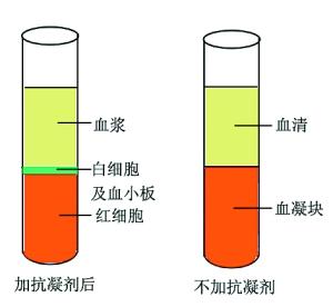 血清与血浆有区别吗?