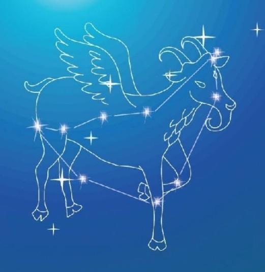 摩羯-+搜狗百科