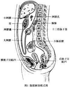 腹膜刺激征是指什么什么是腹膜刺激征腹膜炎放置腹腔引流的指征是什么