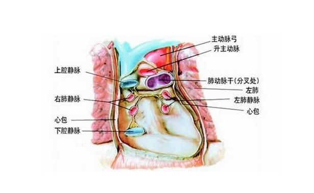 心包破损伤